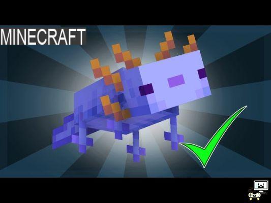 Los 5 animales más raros de Minecraft
