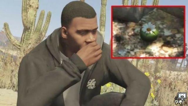 How to become an animal in GTA 5