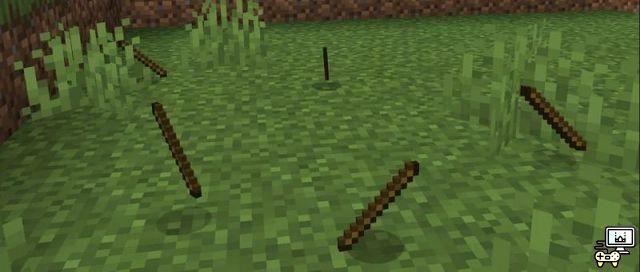 The 5 Rarest Fishing Items in Minecraft