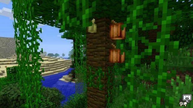 Minecraft Cocoa Beans: Locations, Uses, and More!