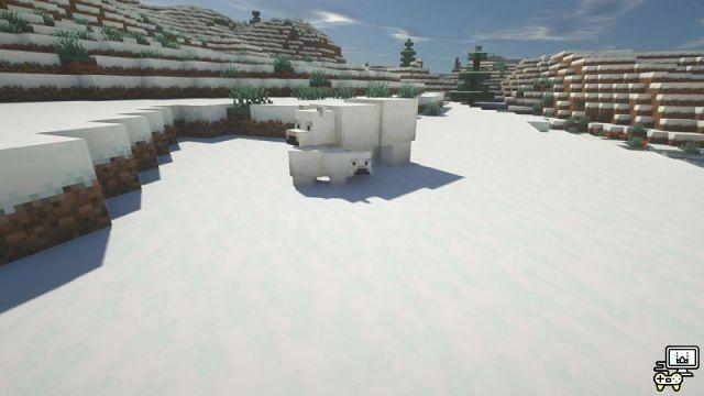Où trouver des ours polaires dans Minecraft