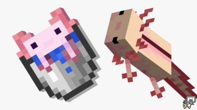 Come creare un secchio Axolotl in Minecraft?