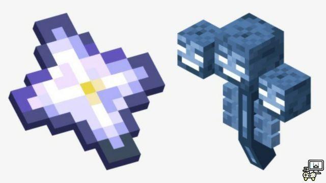 I 5 oggetti più rari in Minecraft!