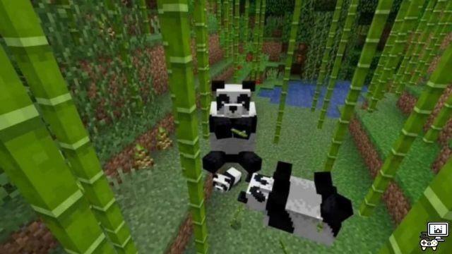 Come allevare panda in Minecraft?