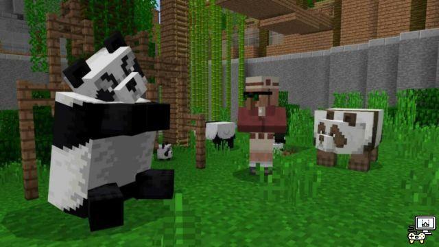 Come allevare panda in Minecraft?