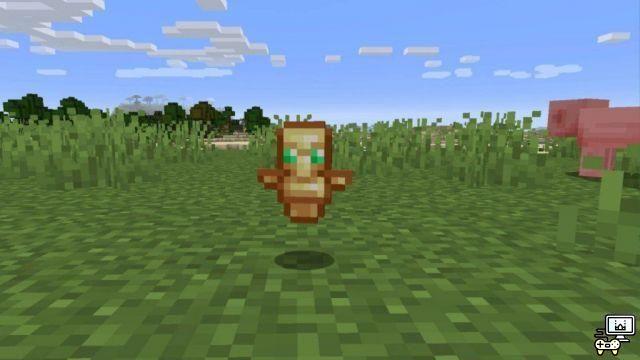 Comment trouver un Totem des Immortels dans Minecraft ?