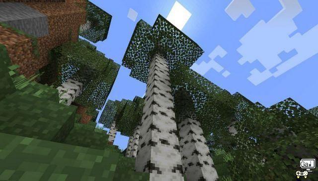 Come far crescere grandi alberi in Minecraft