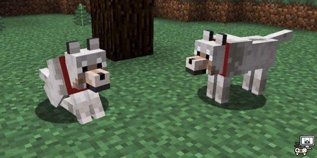 I 5 animali più carini di Minecraft