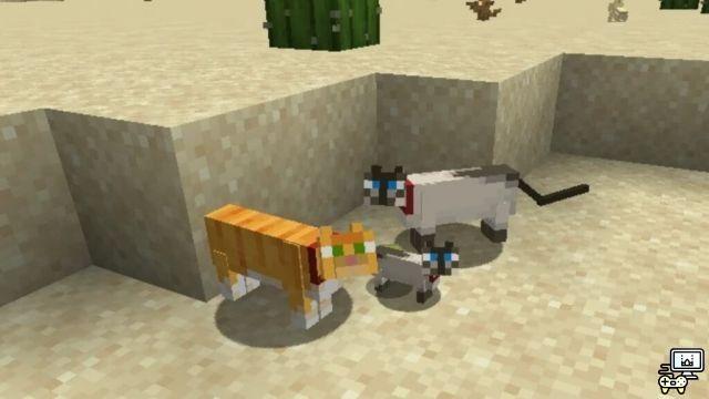 Come allevare gatti in Minecraft?