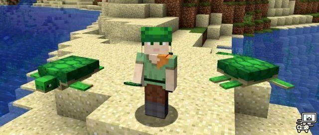 How to Get Turtle Helmets in Minecraft: Pocket Edition