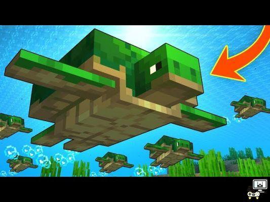 Cómo conseguir cascos de tortuga en Minecraft: Pocket Edition