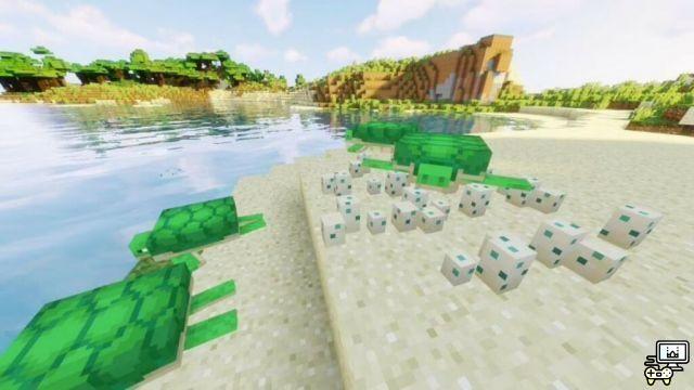 Minecraft Turtle Shell: how to make, use and more!