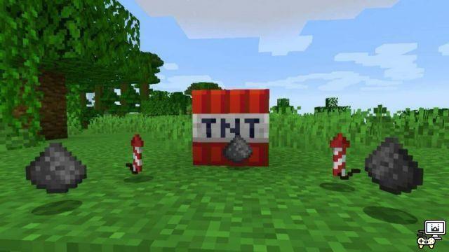 What are the top 5 Wandering Traders items in Minecraft?