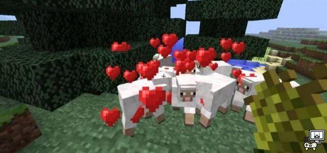 ¿Qué es el Modo Amor en Minecraft?