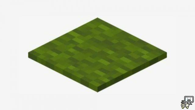 Minecraft Rug: Uses, how-to, material needs and more!