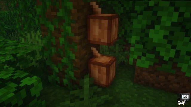 5 best things about the jungle biome in Minecraft