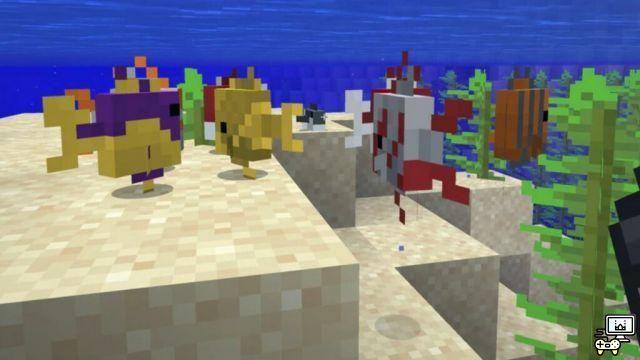 Minecraft Tropical Fish: engendros, usos y más.