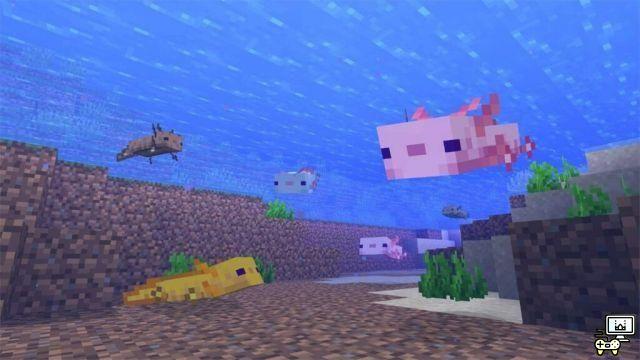 Top 5 Uses for Minecraft Axolotl!