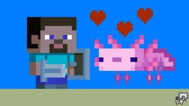 Top 5 des utilisations de Minecraft Axolotl !