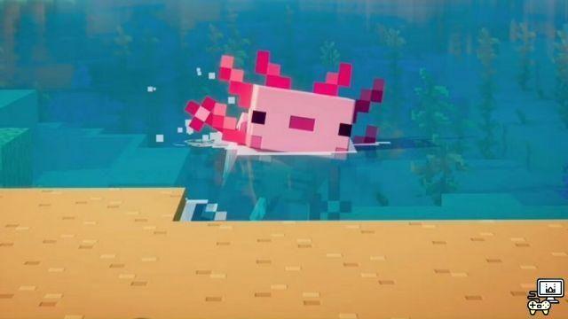 Top 5 des utilisations de Minecraft Axolotl !