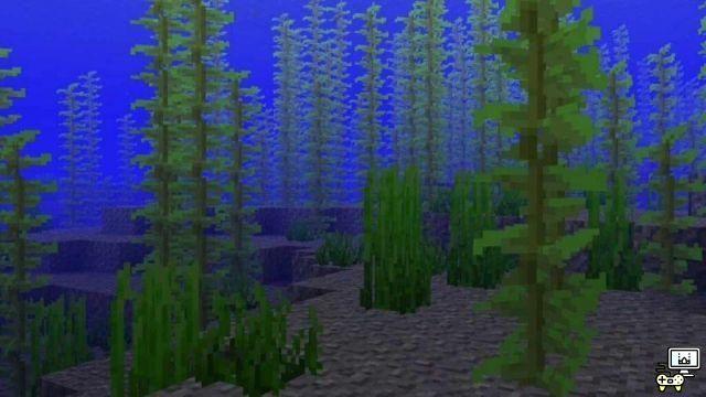 Minecraft Kelp: Location, uses and more!