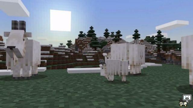 Top 5 des caractéristiques uniques pour les chèvres Minecraft !