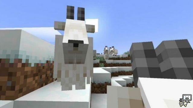 Top 5 des caractéristiques uniques pour les chèvres Minecraft !