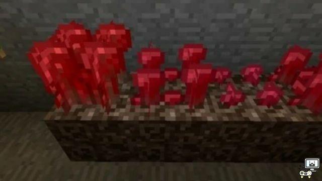 Comment faire une potion bizarre dans Minecraft ?