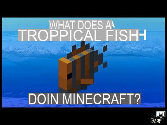 Where to find tropical fish in Minecraft