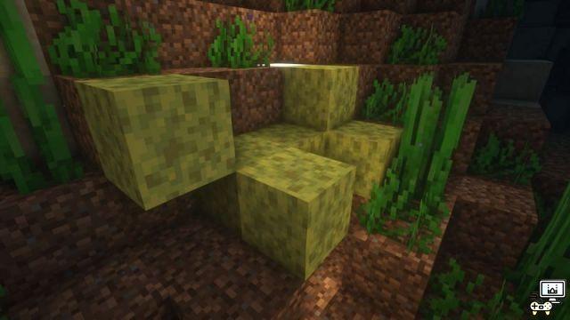 5 blocs Minecraft les plus rares dans la version 1.17