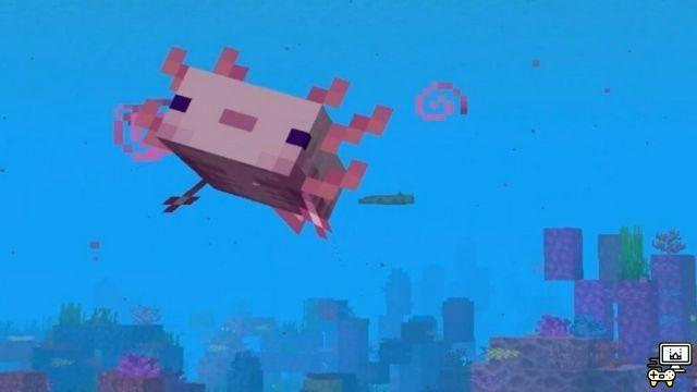 Les 5 questions les plus recherchées sur Minecraft Axolotls !