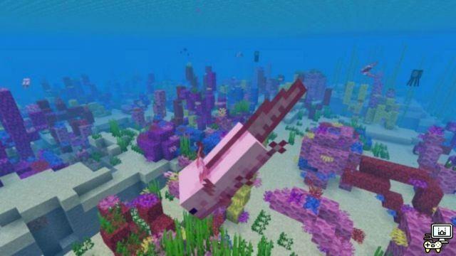 Le 5 domande più ricercate su Minecraft Axolotl!