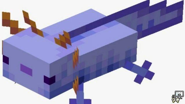 ¡Las 5 preguntas más buscadas sobre Minecraft Axolotls!