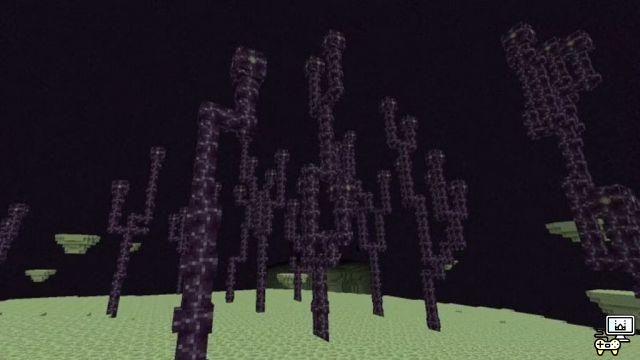 Minecraft Chorus Tree: Location, Drops, and More!