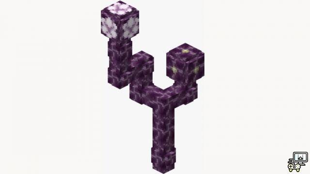 Árbol de coros de Minecraft: ¡Ubicación, entregas y más!
