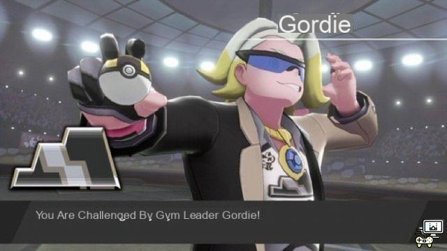 Who are the Pokémon Sword & Shield Gym Leaders?