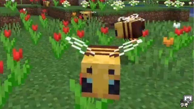 ¡Los 5 mejores usos de las abejas en Minecraft!