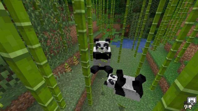 Minecraft Bamboo: posizione, come coltivare, usi e altro!