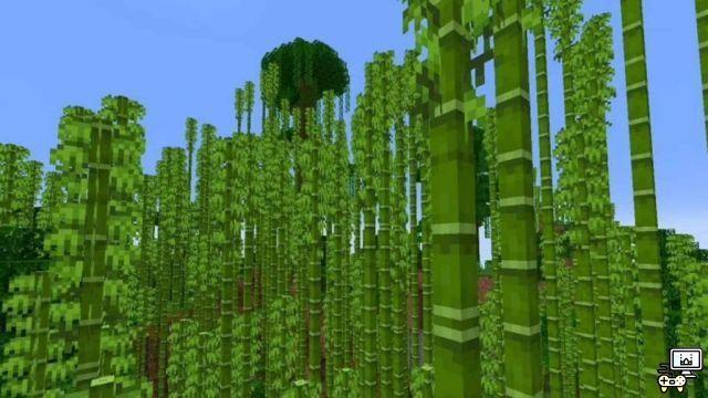 Minecraft Bamboo : emplacement, comment grandir, utilisations et plus encore !