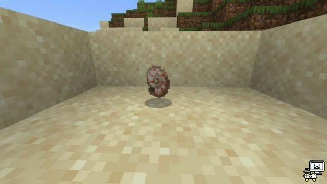 Minecraft Nautilus Shell: how to find it, use it and more!